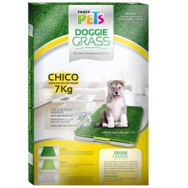 Doggie Grass Ch Chico