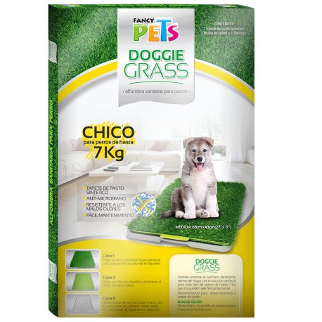 Doggie Grass Ch Chico