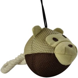 Juguete eco ball con jaladera diferentes modelos