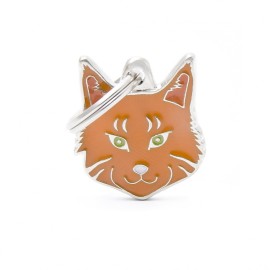 Plaquita friends red tabby maine coon