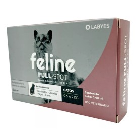 Feline full spot