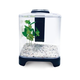 Acuario mini 6 lt