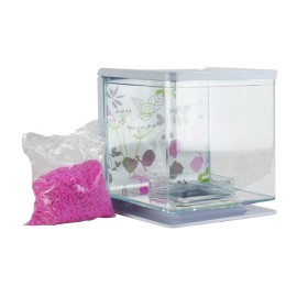 Beta kit floral 2 Pza