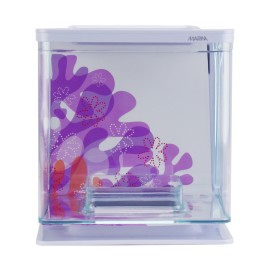 Beta kit flores 2 Pza