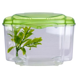 Betta kit verde (0.5 gal) 1.8 lt Pza